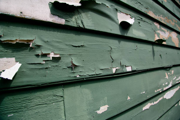 Best Dumpster Rental Services  in Fair Haven, NY