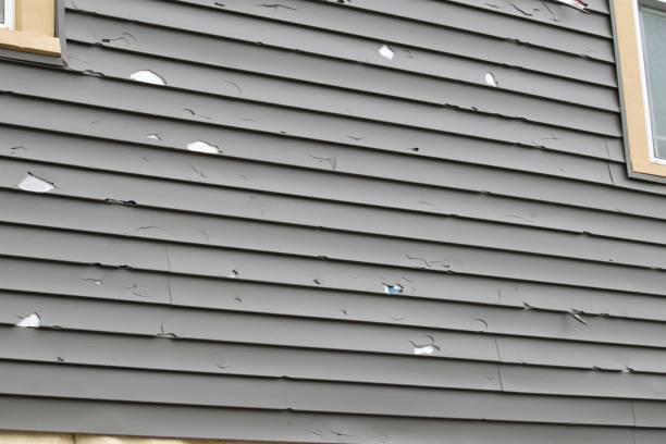 Best Same-Day Junk Removal Services  in Fair Haven, NY
